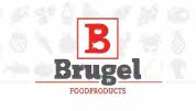 Strategisch Advies Centrum | Logo Brugel