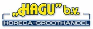 Stratetisch Advies Centrum - Logo Hagu BV